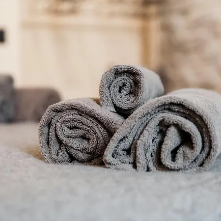 Penzion Historical - The House Of Travelers 3*